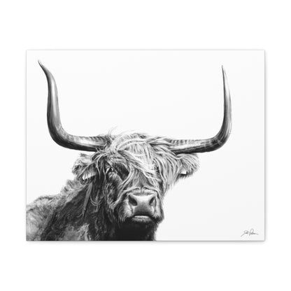 "Highlander" Gallery Wrapped Canvas