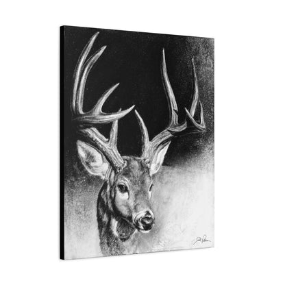 "Whitetail Buck" Stretched Canvas