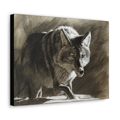 "Coyote" Gallery Wrapped Canvas