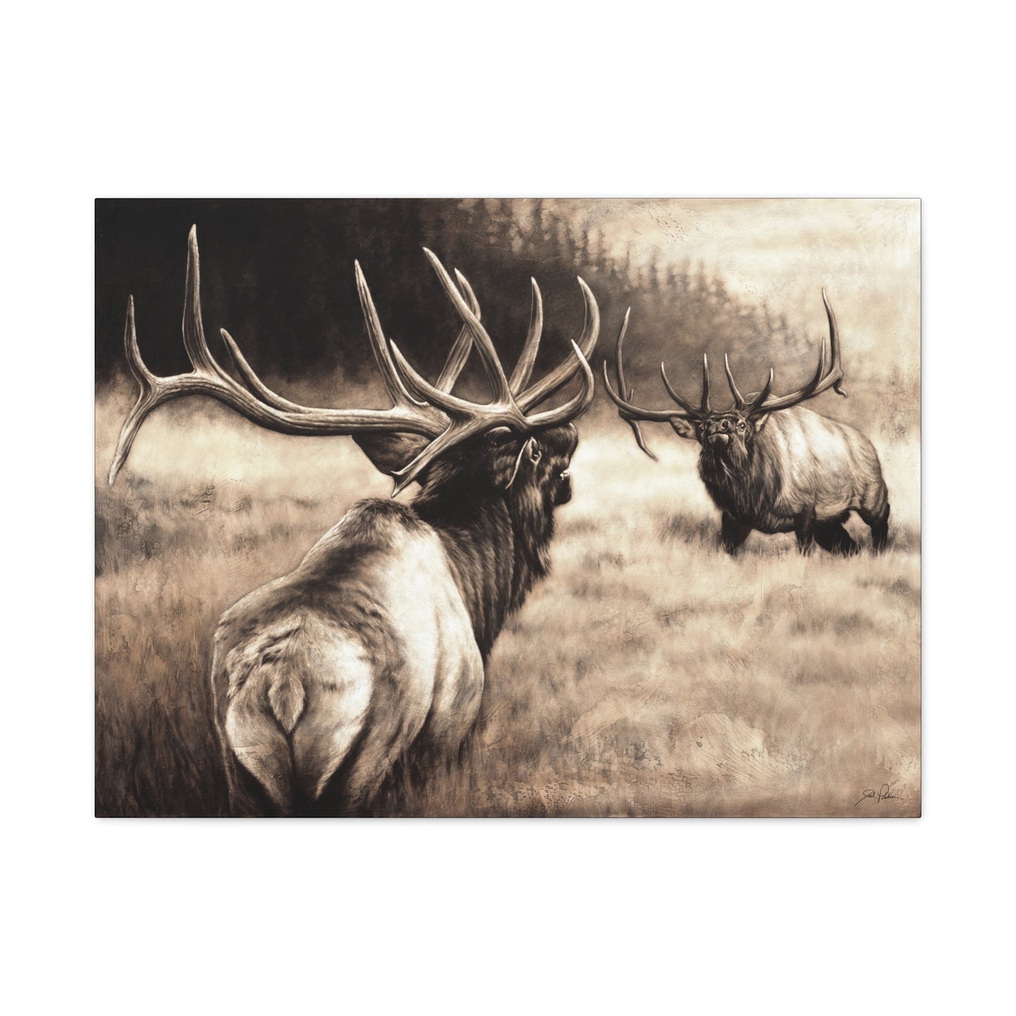 "Ready to Rumble" Stretched Canvas