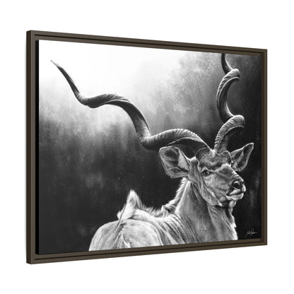 "Kudu" Framed Canvas