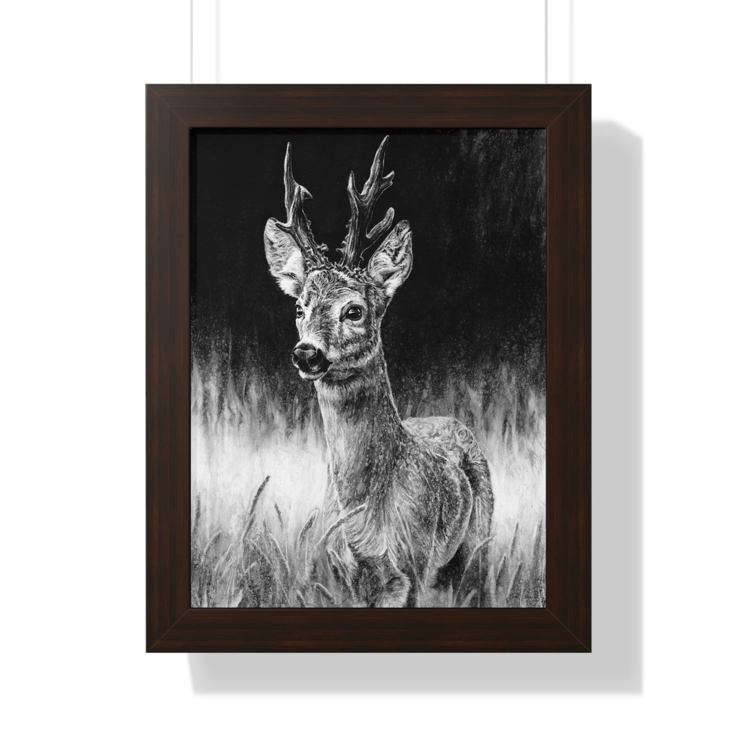 "Roe Deer" Framed Paper Print.