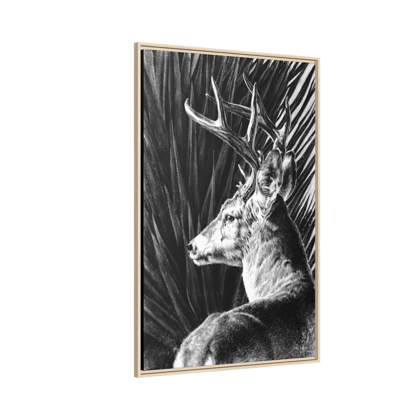 "Coues Buck" Framed Canvas
