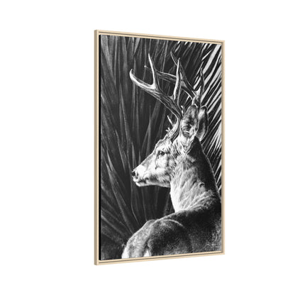 "Coues Buck" Framed Canvas