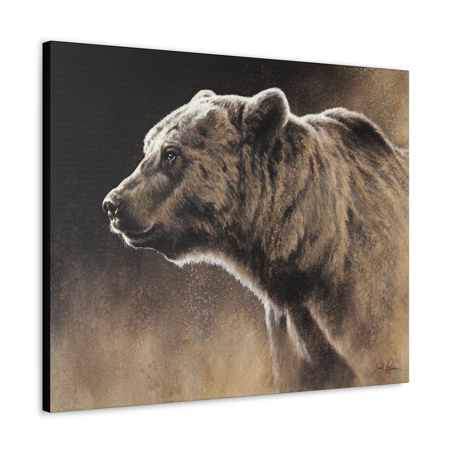 "Grizzly" Gallery Wrapped Canvas