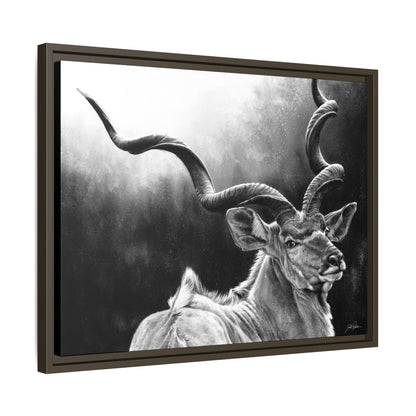 "Kudu" Framed Canvas