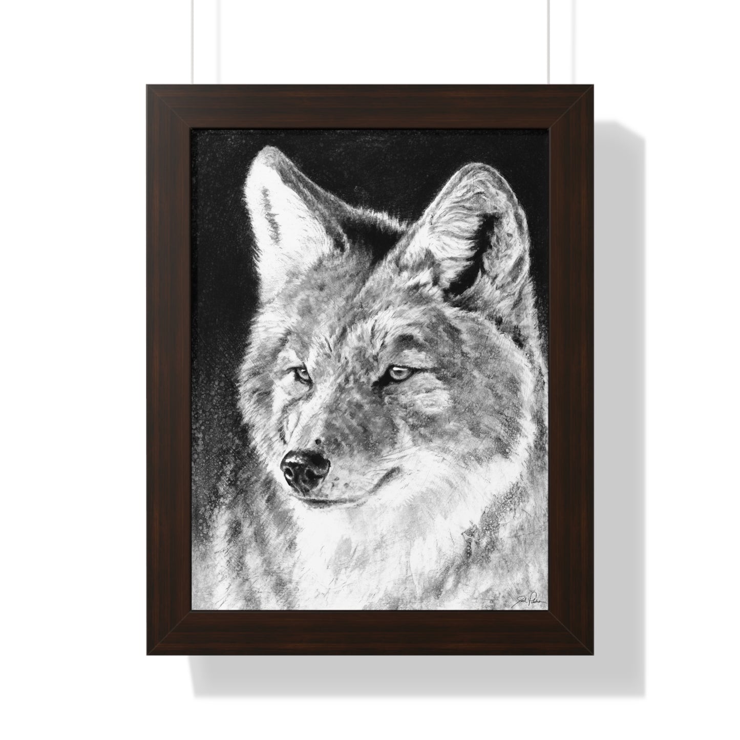 "Coyote II" Framed Paper Print.