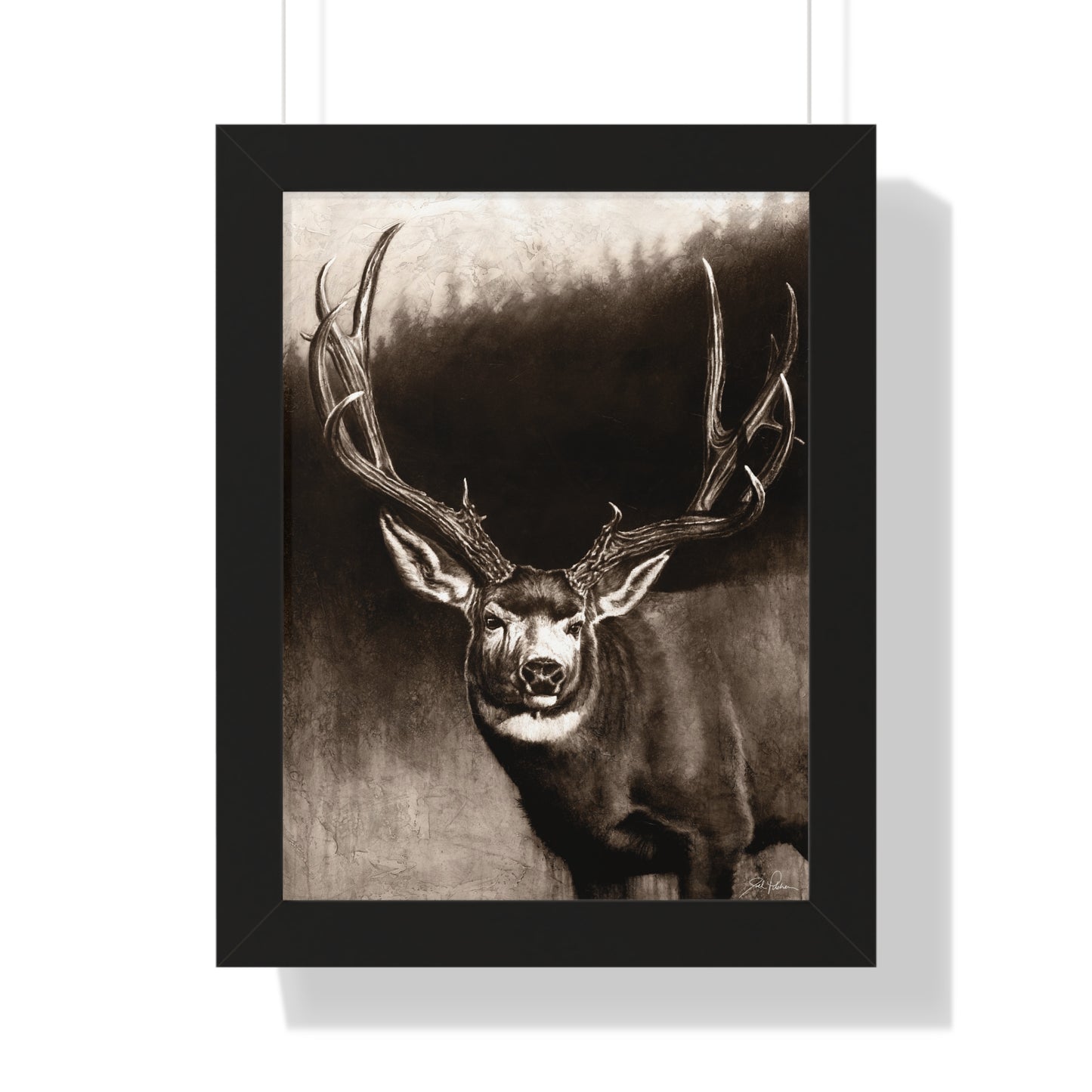 "Muley" Framed Paper Print