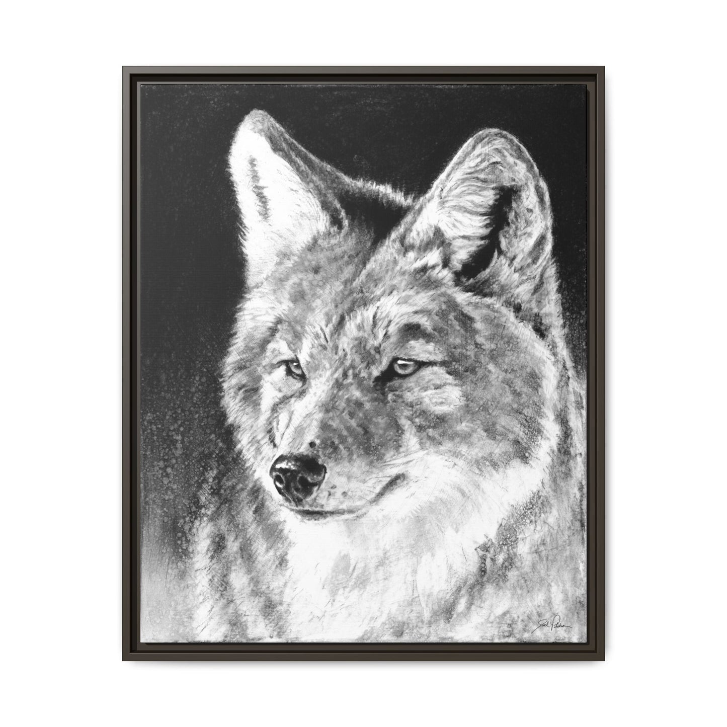 "Coyote II" Framed Canvas