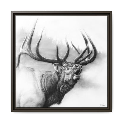 "Rocky Mountain King" Framed Canvas