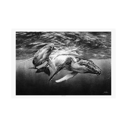 "Humpback Whales" Premium Matte Paper Print