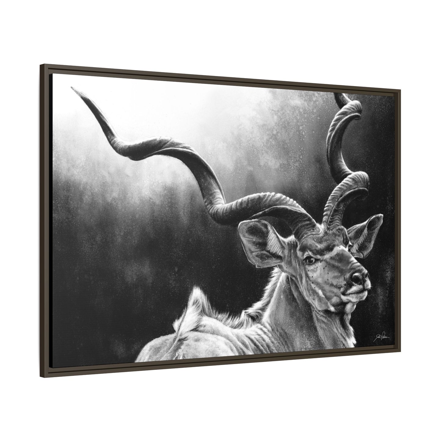 "Kudu" Framed Canvas