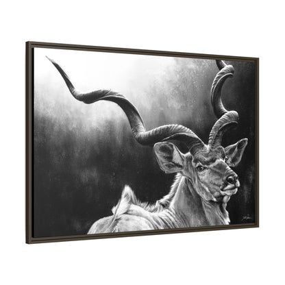 "Kudu" Framed Canvas