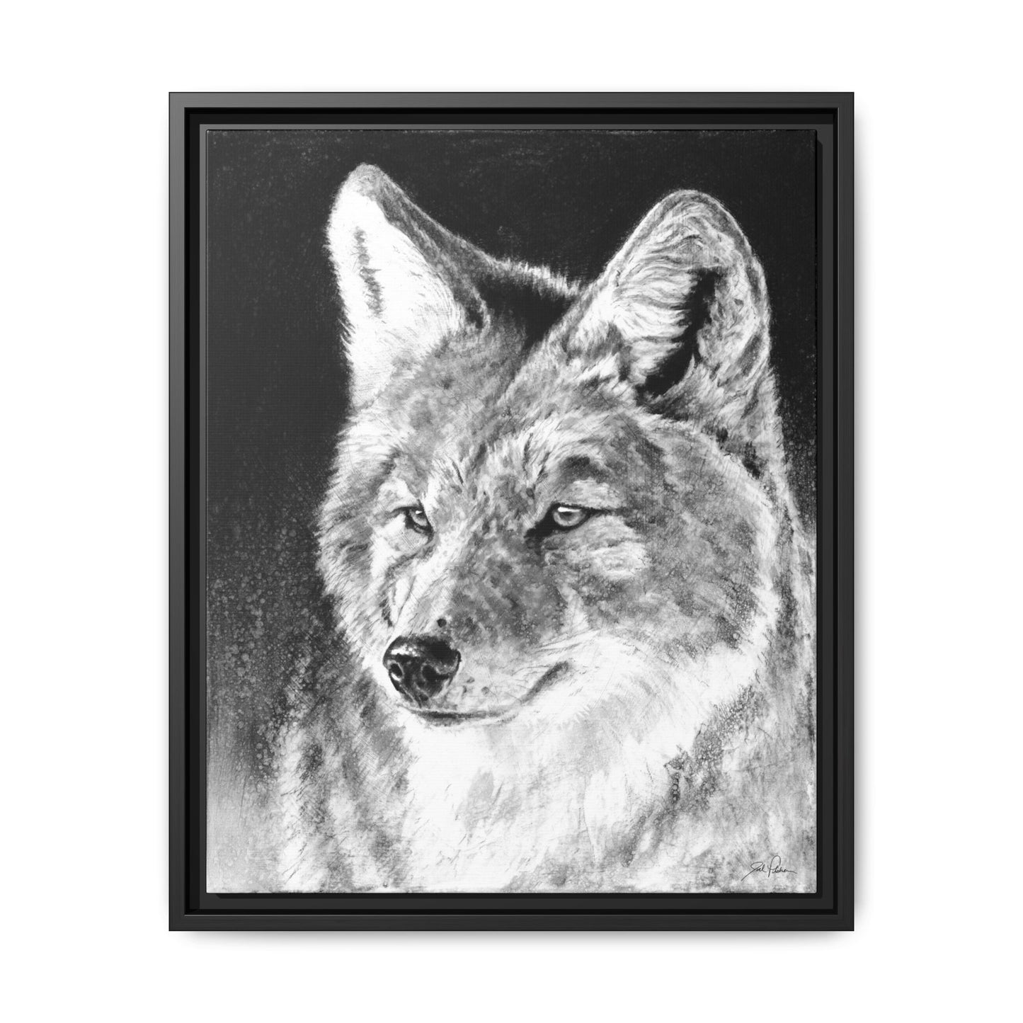 "Coyote II" Framed Canvas