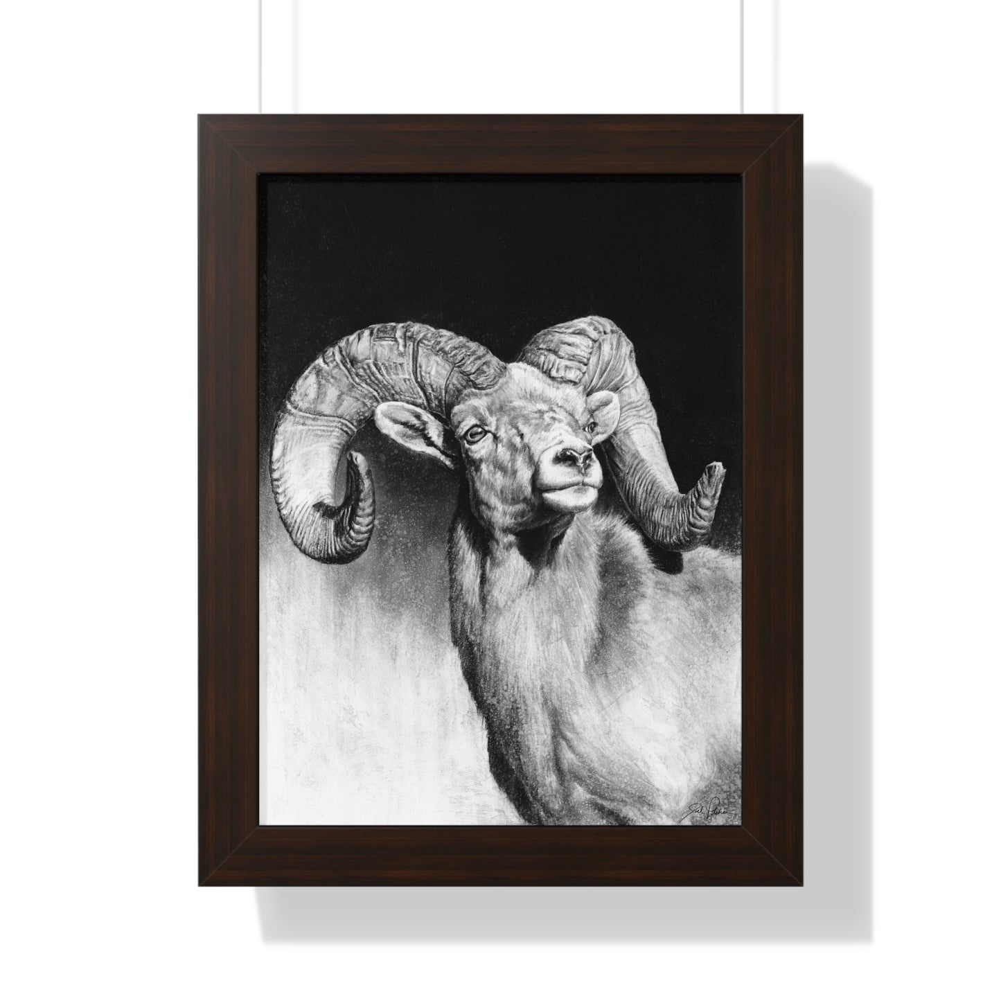 "Bighorn" Framed Paper Print