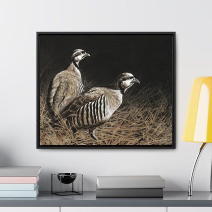 "Chukars" Gallery Wrapped/Framed Canvas