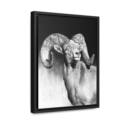 "Bighorn" Gallery Wrapped/Framed Canvas