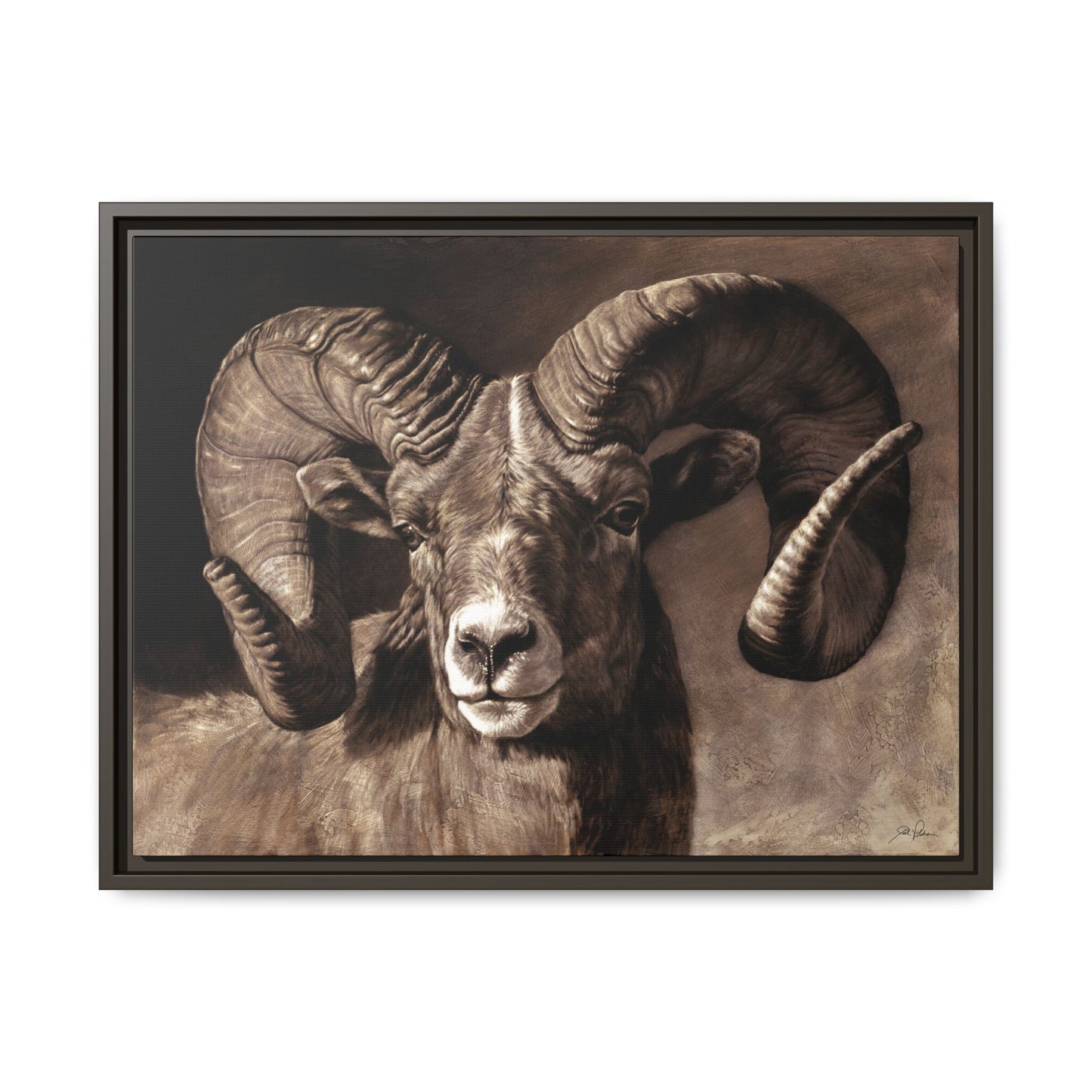 "Full Curl" Framed Canvas