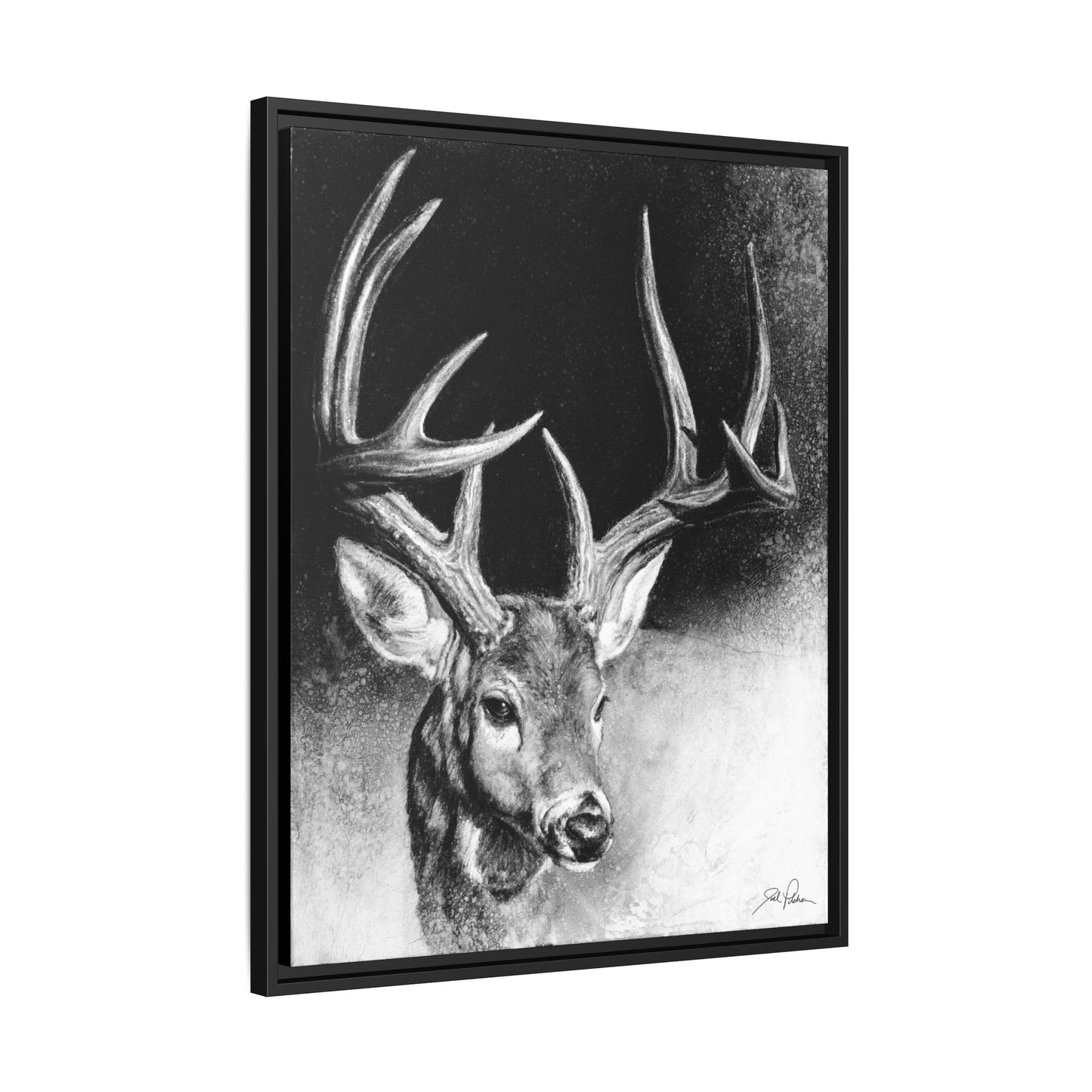 "Whitetail Buck" Framed Canvas