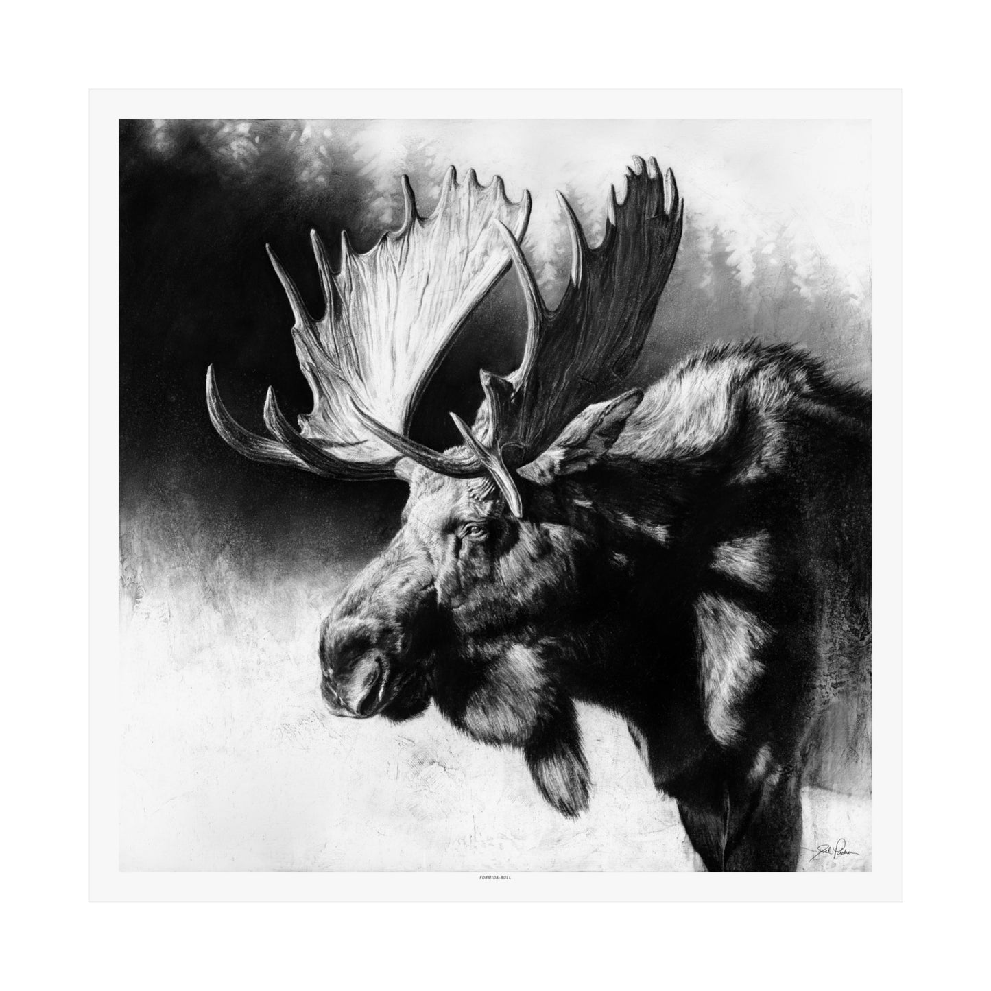 "Formida-bull" Premium Matte Paper Print