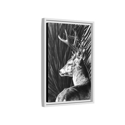 "Coues Buck" Framed Canvas