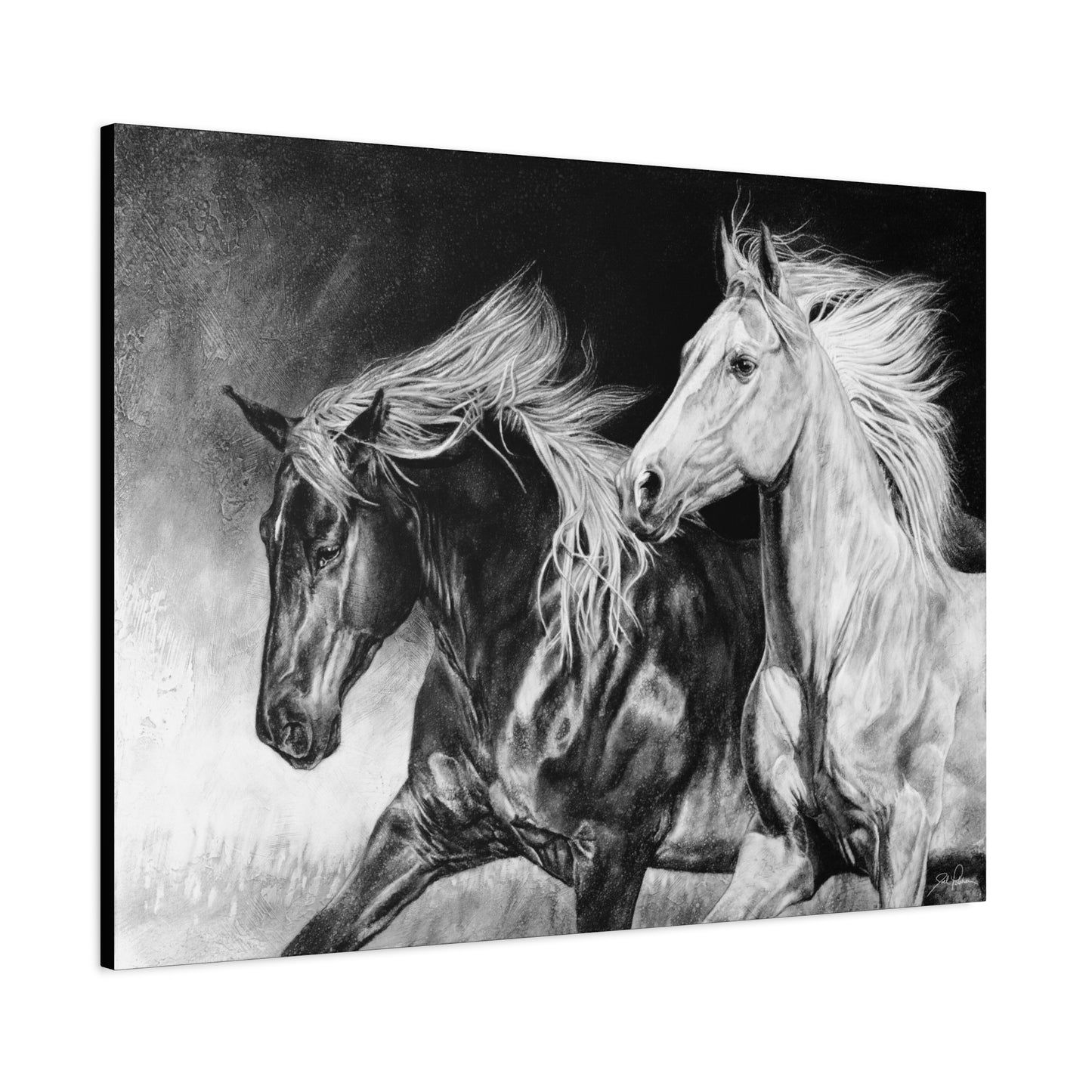 "Dynamic Duo" Stretched Canvas