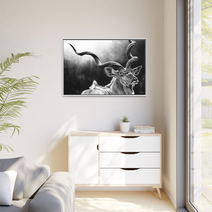 "Kudu" Framed Canvas