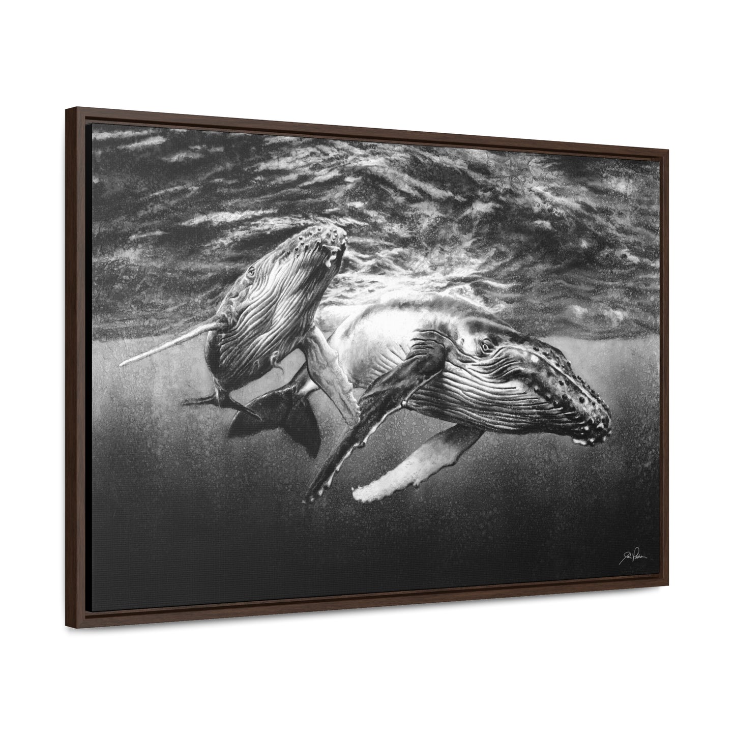 "Humpback Whales" Gallery Wrapped/Framed Canvas