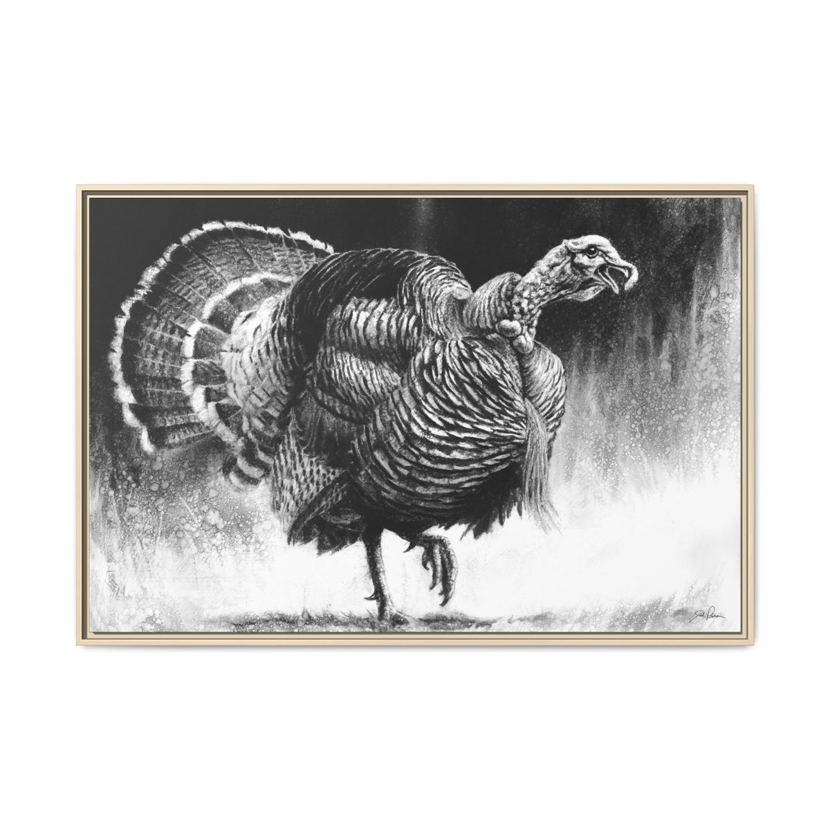 "Gobbler" Framed Canvas