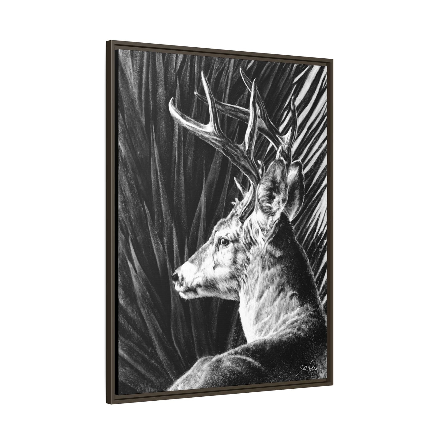 "Coues Buck" Framed Canvas