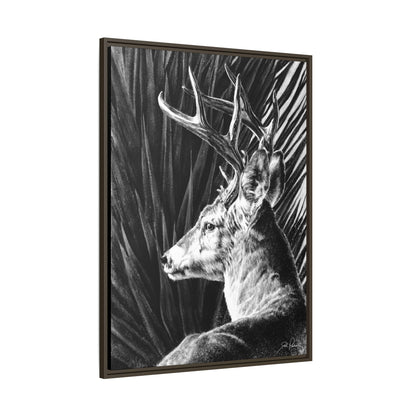 "Coues Buck" Framed Canvas