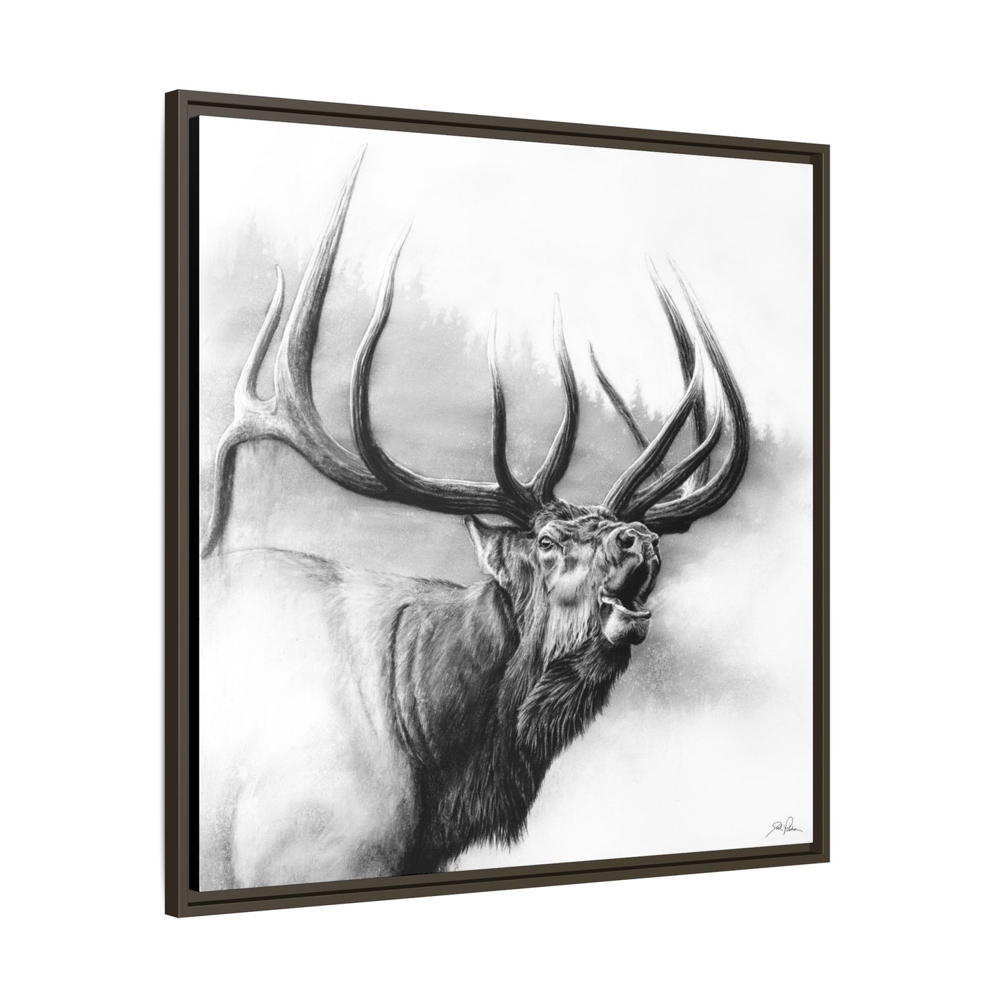 "Rocky Mountain King" Framed Canvas