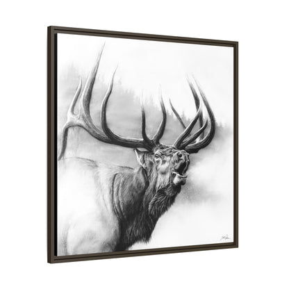 "Rocky Mountain King" Framed Canvas