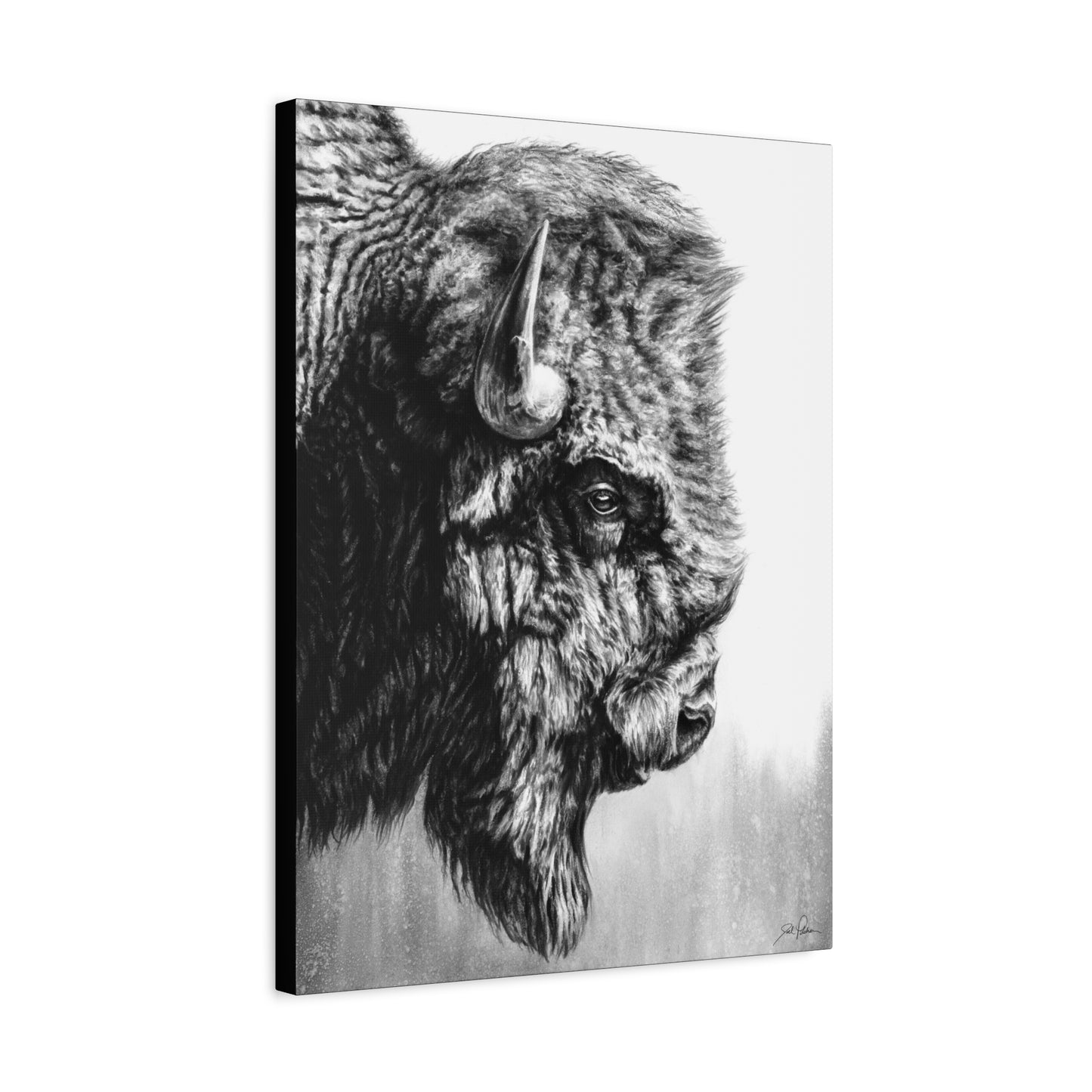 "Headstrong" Stretched Canvas