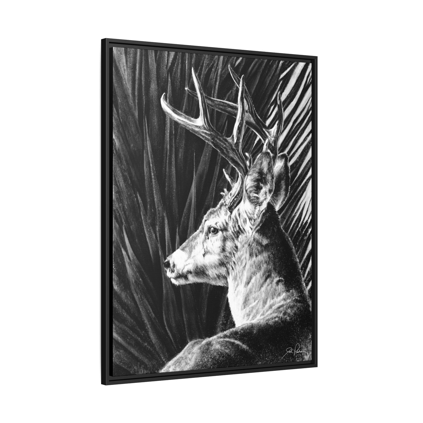 "Coues Buck" Framed Canvas