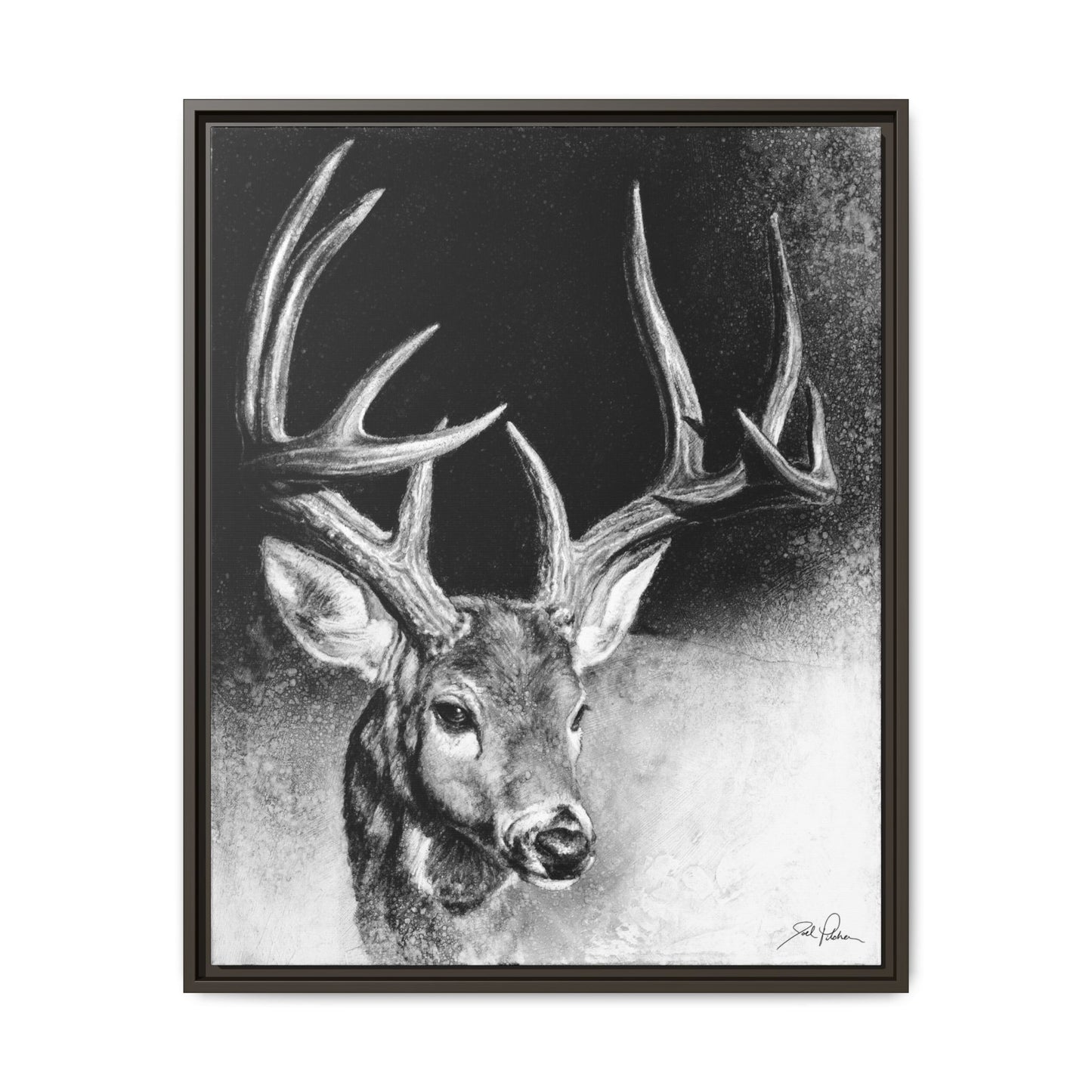 "Whitetail Buck" Framed Canvas