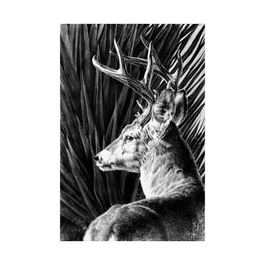 "Coues Buck" Premium Matte Paper Print.