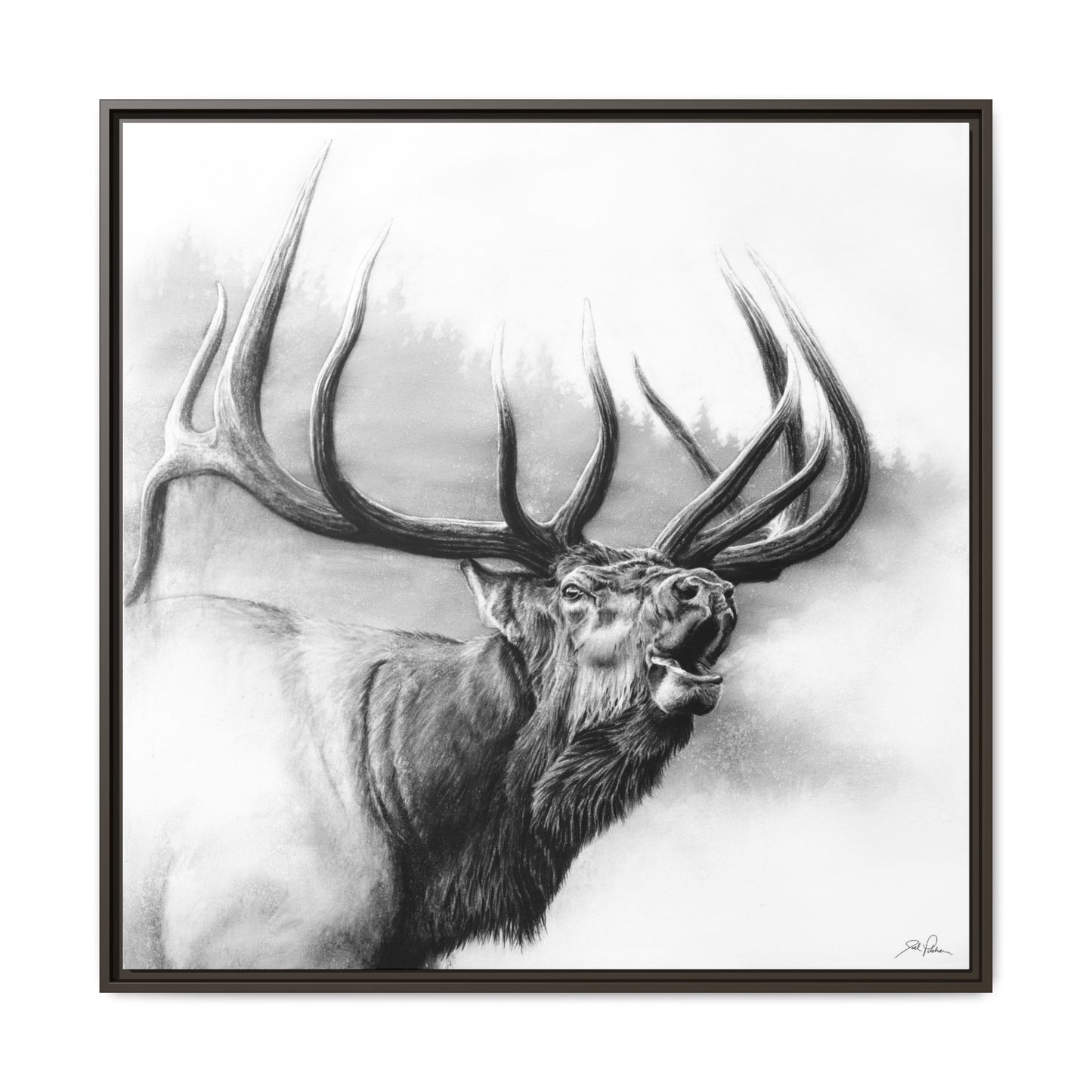 "Rocky Mountain King" Framed Canvas