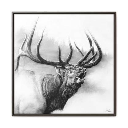 "Rocky Mountain King" Framed Canvas
