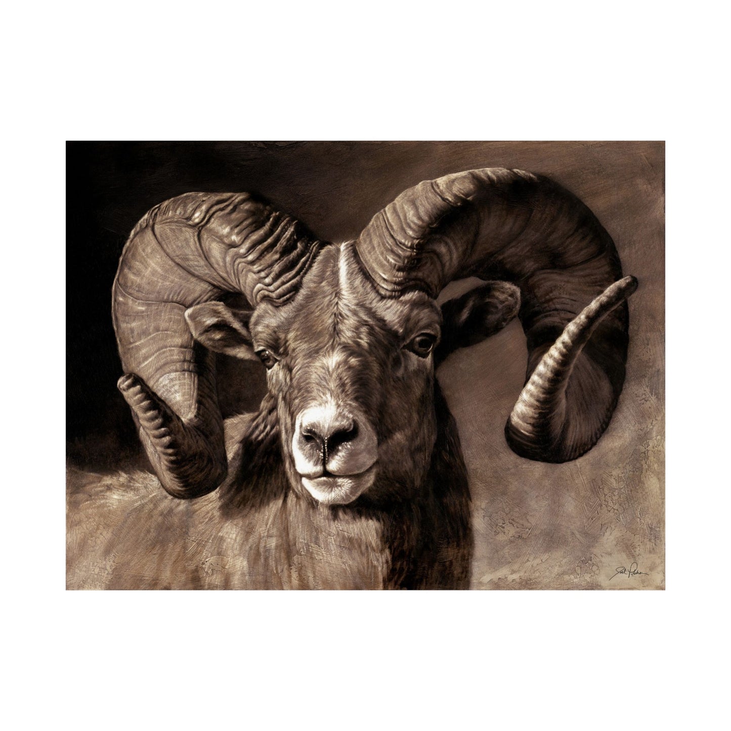 "Full Curl" Premium Matte Paper Print