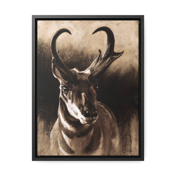"Pronghorn" Gallery Wrapped/Framed Canvas.