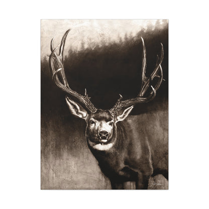 "Muley" Stretched Canvas
