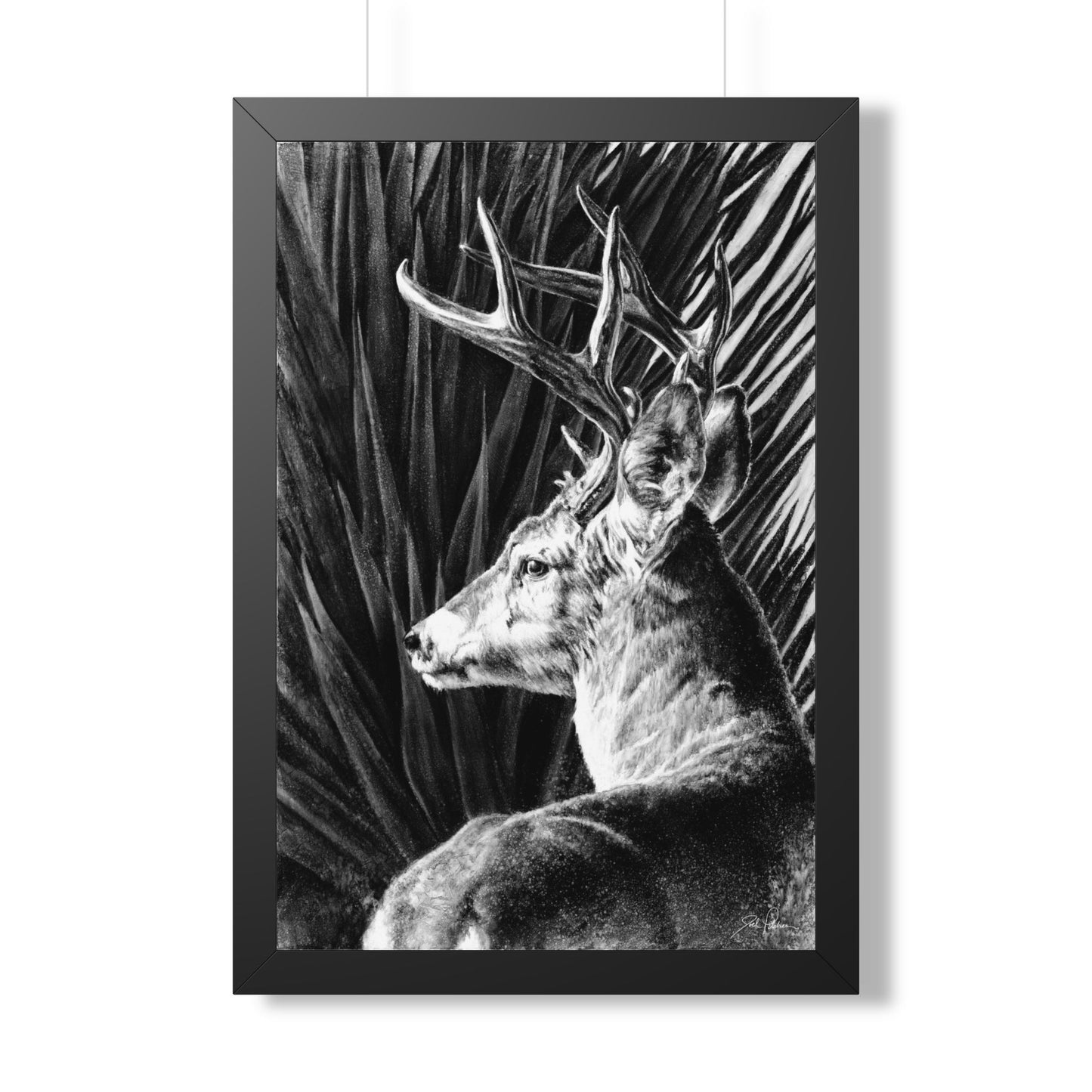 "Coues Buck" Framed Paper Print