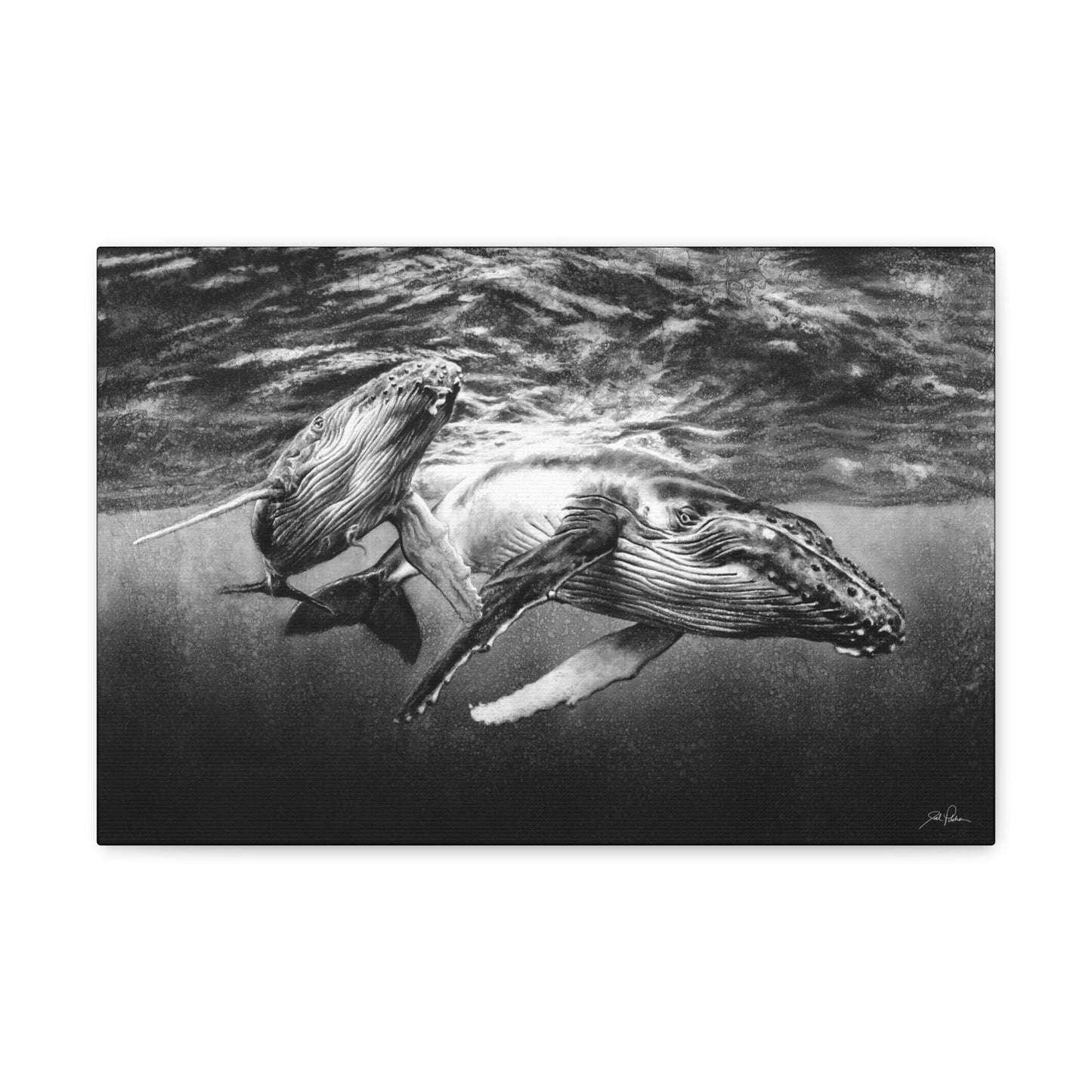 "Humpback Whales" Gallery Wrapped Canvas