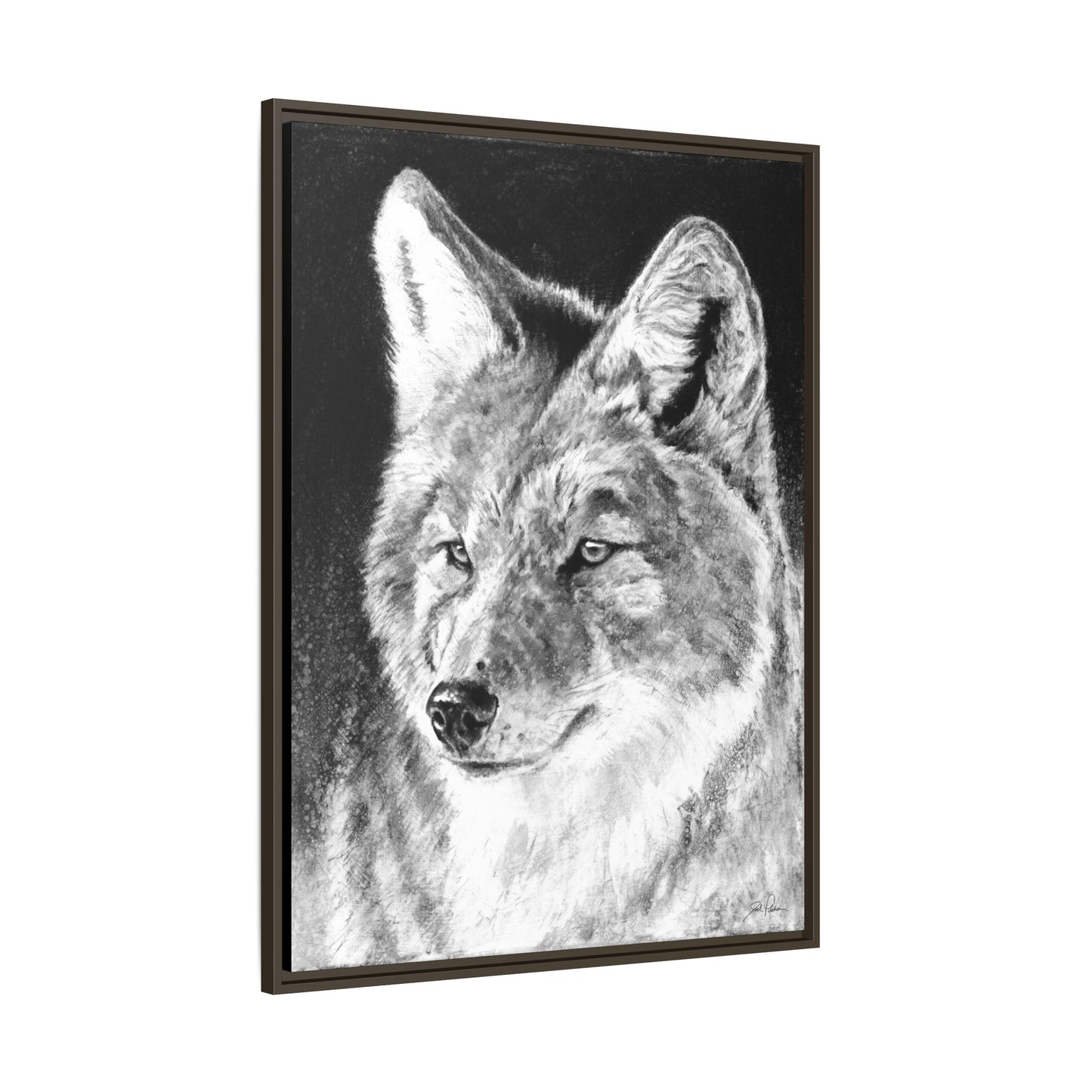 "Coyote II" Framed Canvas