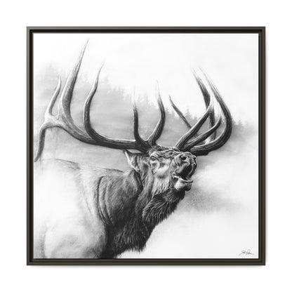 "Rocky Mountain King" Framed Canvas
