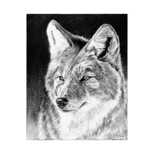 "Coyote II" Premium Matte Paper Print.