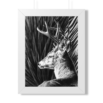 "Coues Buck" Framed Paper Print