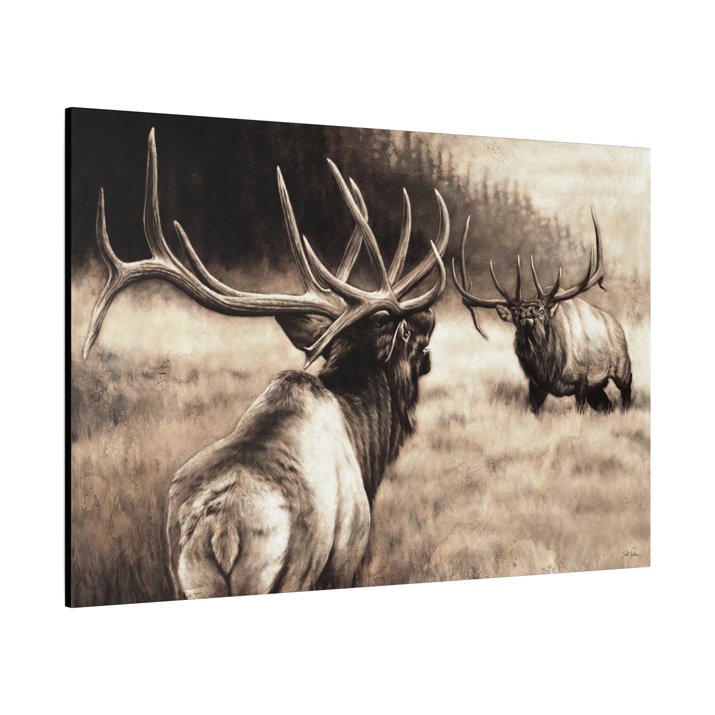 "Ready to Rumble" Stretched Canvas