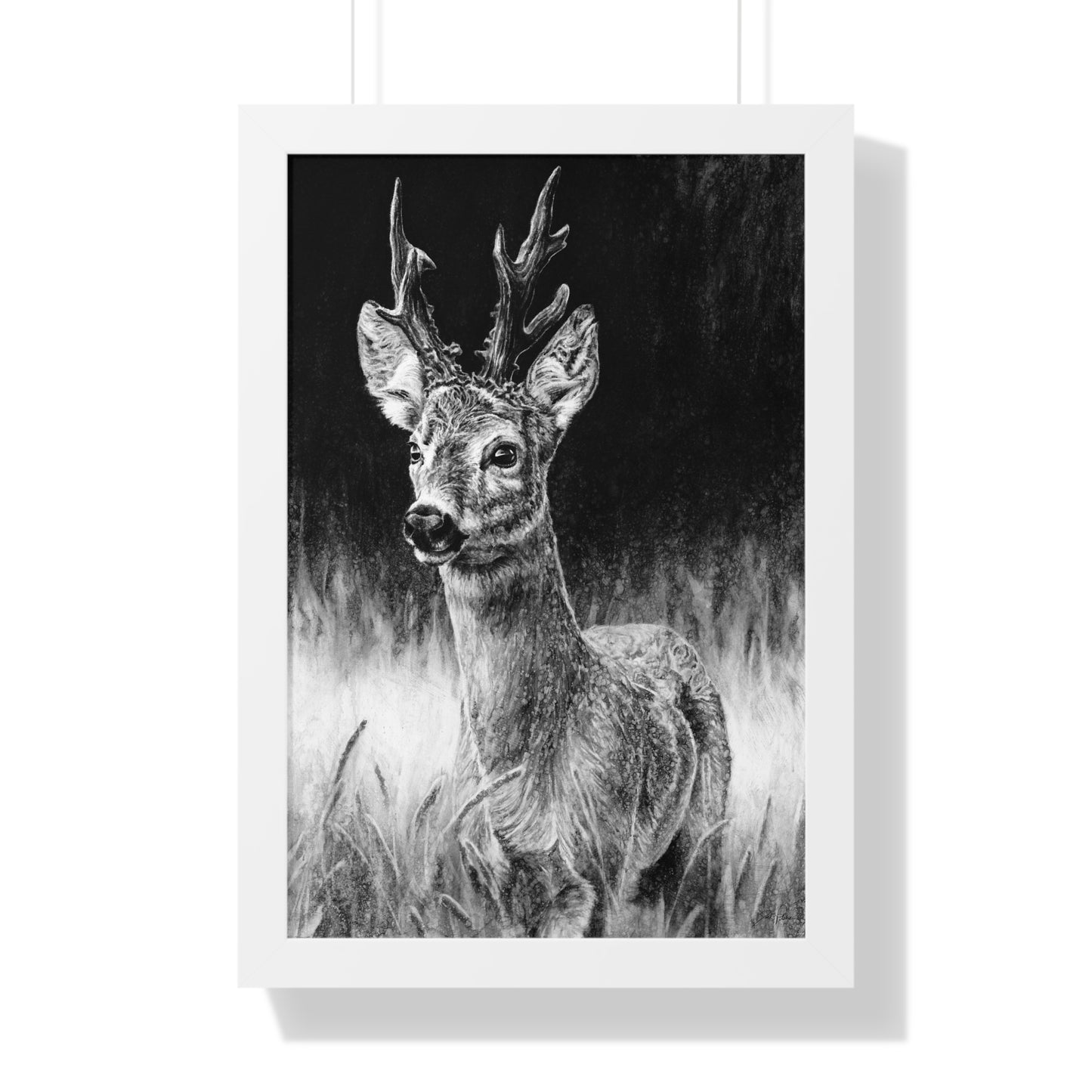 "Roe Deer" Framed Paper Print.